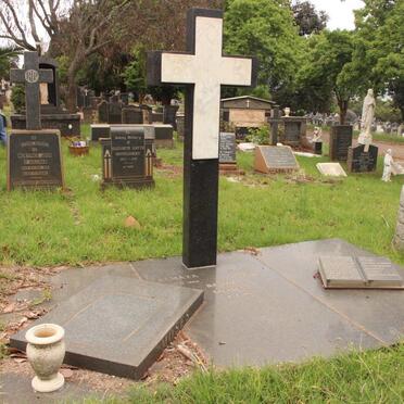 MOSES Almaza -1989 :: MOSES Rita -1982 :: MOSES Badwa -1991