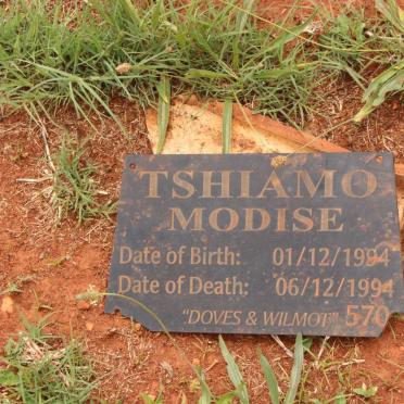 MODISE Tshiamo 1994-1994