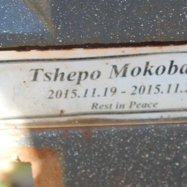 MOKOBANE Tshepo 2015-2015