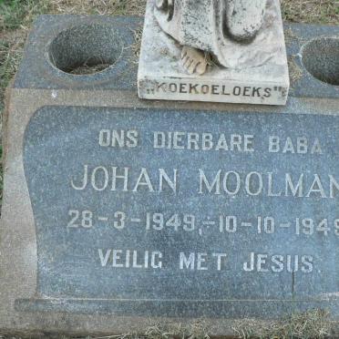 MOOLMAN Johan 1949-1949