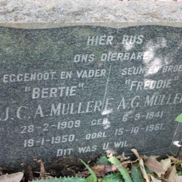 MULLER J.C.A. 1909-1950 :: MULLER F.A.G. 1941-1961