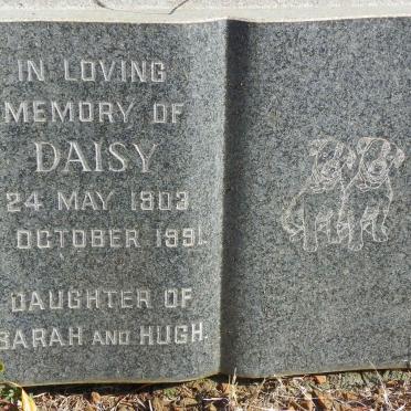 MUNRO Daisy 1903-1991