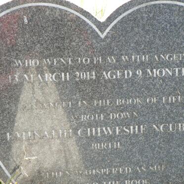 NCUBES Eminalhi Chiweshe -2014