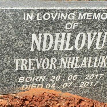 NDHLOVU Trevor Nhlaluko 2017-2017