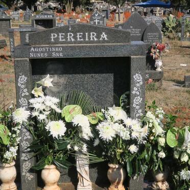 PEREIRA Agostinho Nunes 1943-2009 :: PEREIRA Joao Nunes 1964-2012 :: PEREIRA Agostinho Nunes 1969-2005