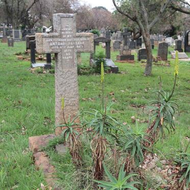 PESTANA Antonio -194? & Violet Emily 1906-1975