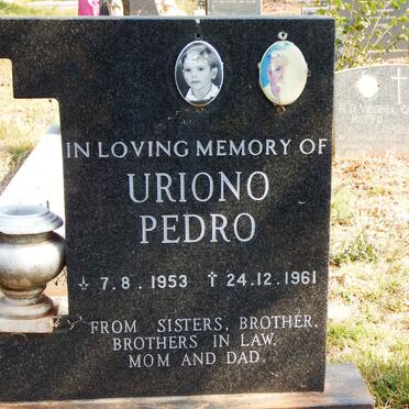 PEDRO Uriono 1953-1961