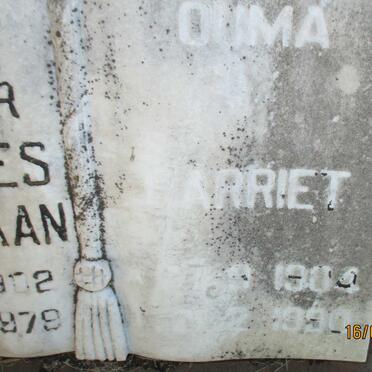 WALT Johannes Christiaan, van der 1902-1979 &amp; Harriet 1904-1990