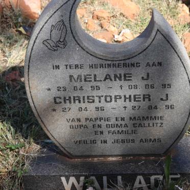 WALLACE Melane J.1995-1995 :: WALLACE Christopher J. 1996-1996
