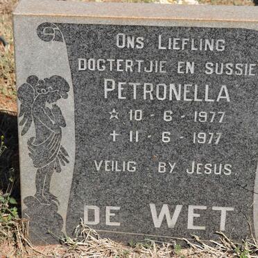 WET Petronella, de 1977-1977