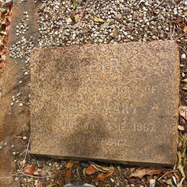 WEIR George Herbert 1871-1951 &amp; Isobel Mary -1967