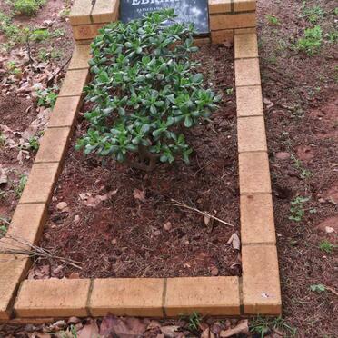 EBRAHIM Ahmed Ameen Suleman -2015