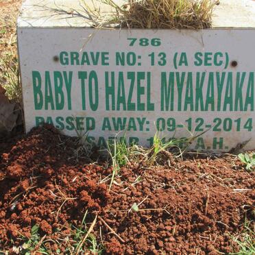 MYAKAYAKA Hazel -2014