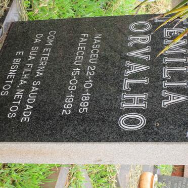 ORVALHO Emilia 1895-1992