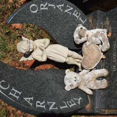 ORJANEL Charnley 2011-2011