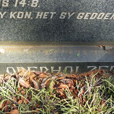 OBERHOLZER Wilhelmina Hendrika nee TENHAAF 1891-1969