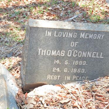 O'CONNELL Thomas 1893-1953