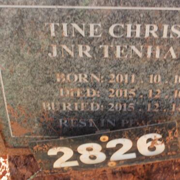 TENHA Tine Chris 2011-2015