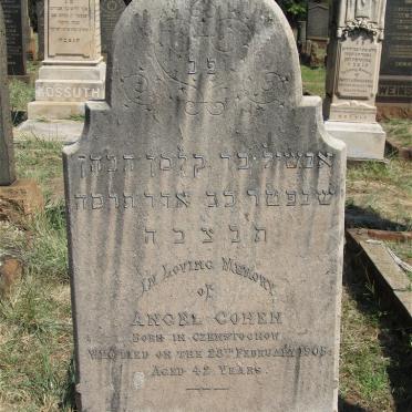 COHEN Angel -1905