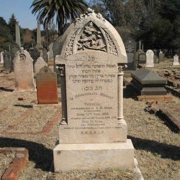 COHN Theresa 1843-1895