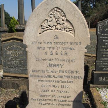 COHN Jenny -1920