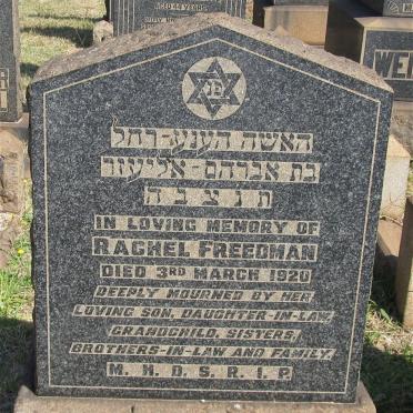 FREEDMAN Rachel -1920