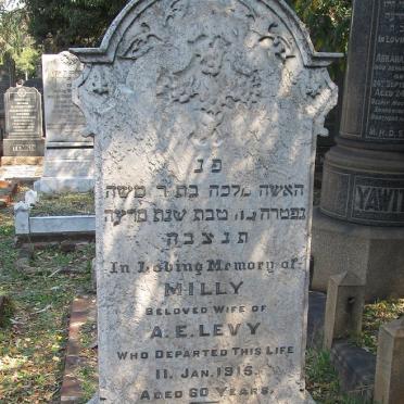 LEVY Lily -1915