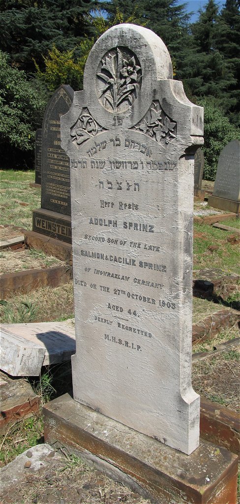 SPRINZ Adolph -1903