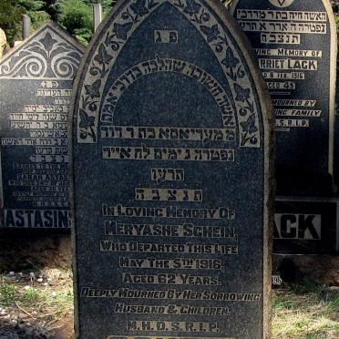 SCHEIN Meryashe -1916