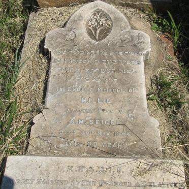 SEIGEL Millie -1908