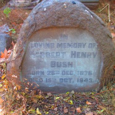BUSH Herbert Henry 1876-1943