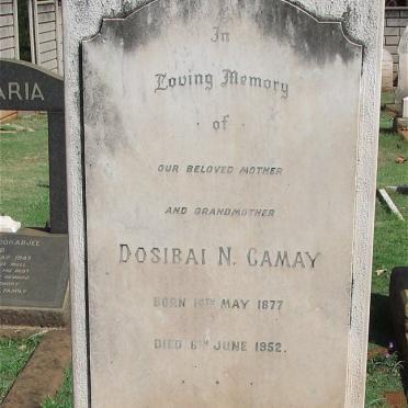 CAMAY Dosibai N. 1877-1952