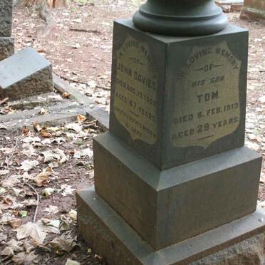 DAVIES John -1909 :: DAVIES Tom -1913