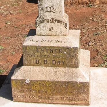 DRY Esther -1903