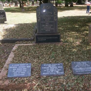 FURNESS :: THOMAS :: MUIR