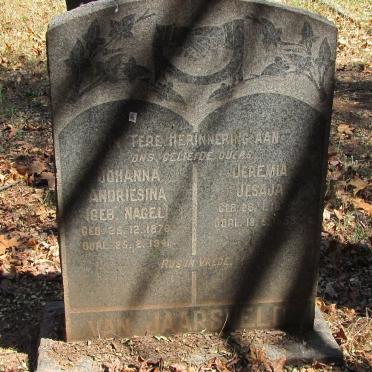JAARSVELD Jeremia Jesaja, van  18??-1959 &amp; Johanna Andriesina NAGEL 1878-1941