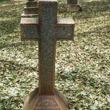 MCALLISTER George Charles -1896