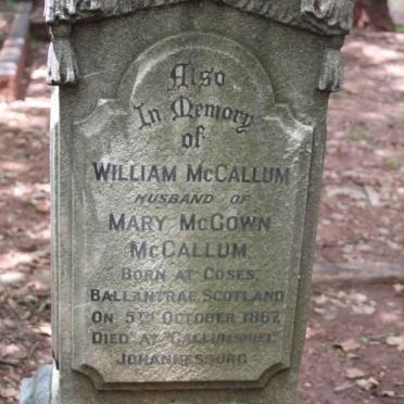 McCALLUM William 1867-1941 & sons _1