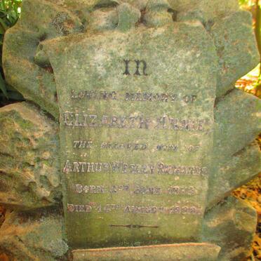 RICHARDS Elizabeth Annie 1873-18??