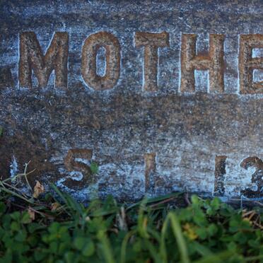 ? Dad :: ? Mother -1913 :: Walter -1907 :: ? Stella :: ? Lallie :: ? Scott 