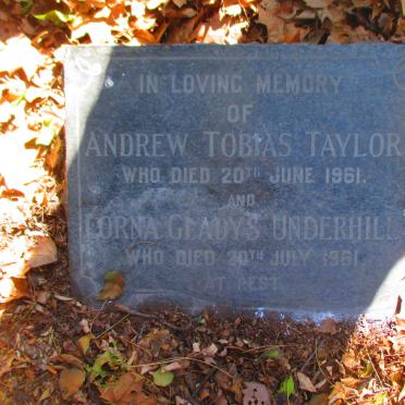 TAYLOR William Andrew -1926 &amp; Sarah Johanna -1928