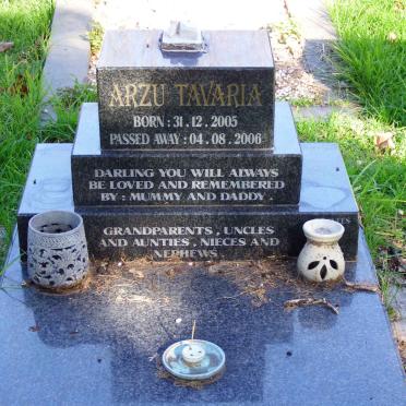 TAVARIA Arzu 2005-2006