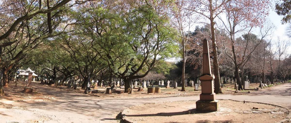 06. Overview / Oorsig