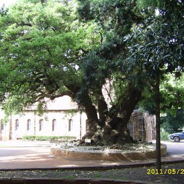 1. Overview photographs