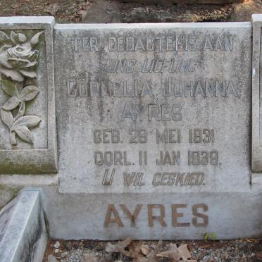 AYRES Cornelia Johanna 1931-1939