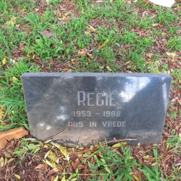 ? Reggie 1953-1988