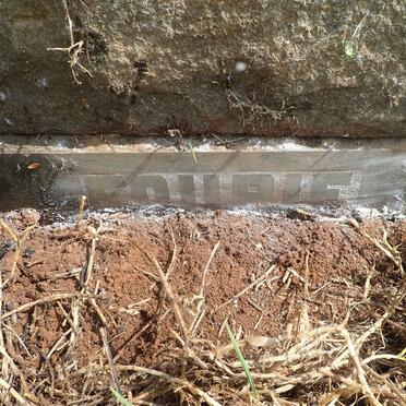 FOURIE Lucas Cornelius 1863-1926 :: FOURIE Coenraad Frederik 1908-1951