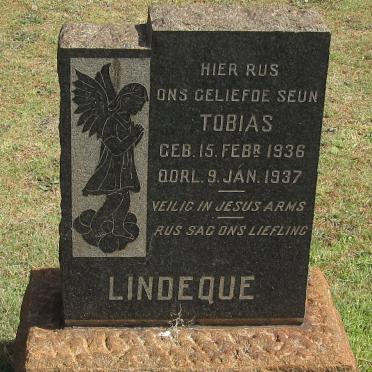 LINDEQUE Tobias 1936-1937