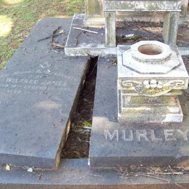 MURLEY Wilfred James -1937 :: MURLEY James Frederick -1944 & Cecilia Florence SCHUBACH -1958