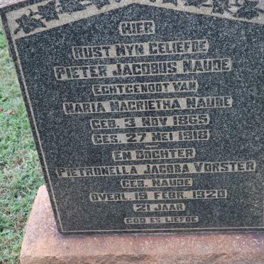 NAUDE Pieter Jacobus 1865-1918 :: VORSTER Pietronella Jacoba nee NAUDE -1920